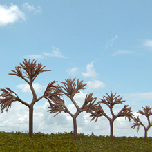 model trees